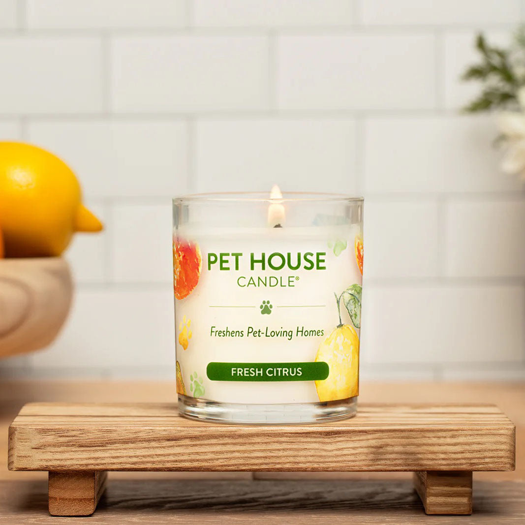9oz candle, fresh citrus