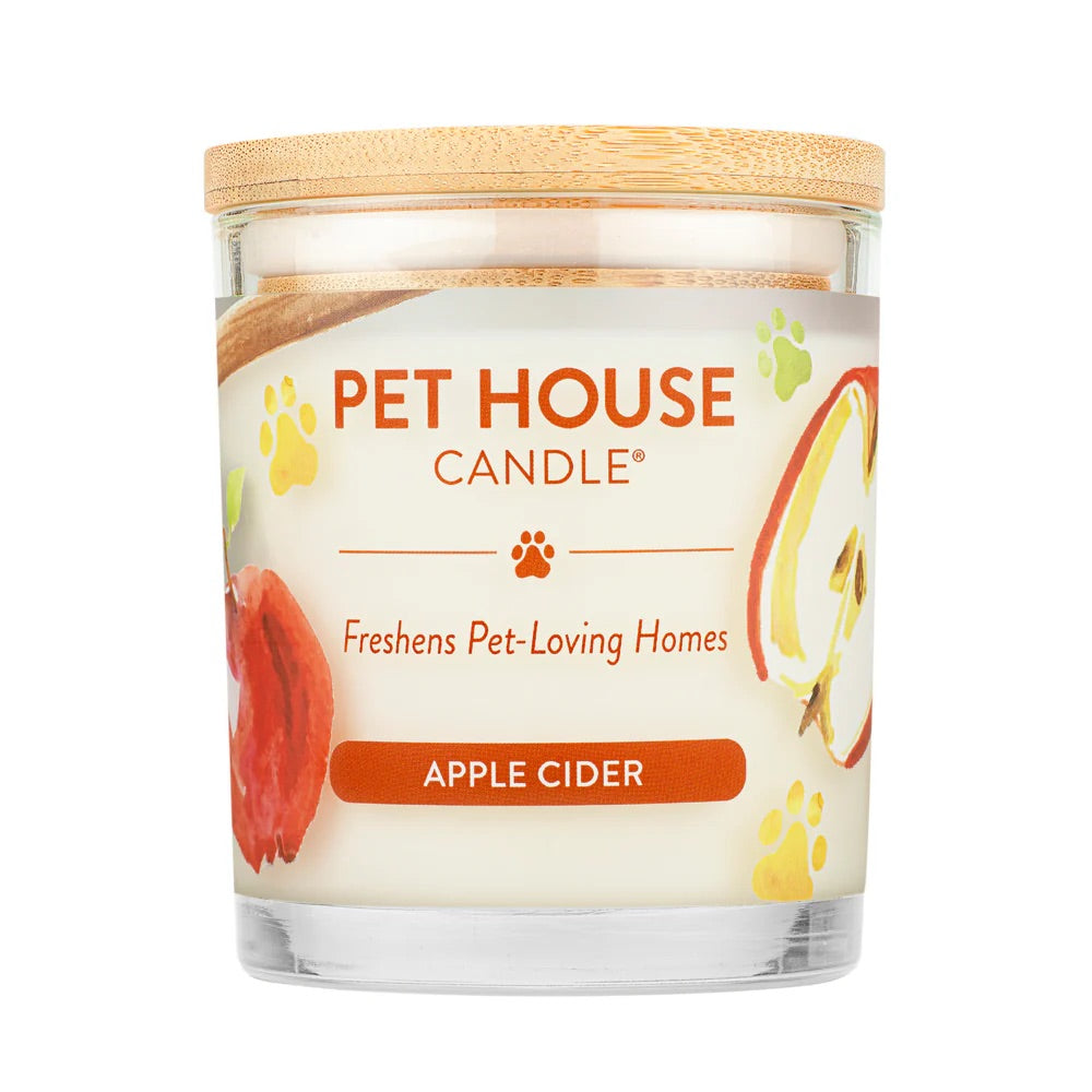 9oz candle, apple cider