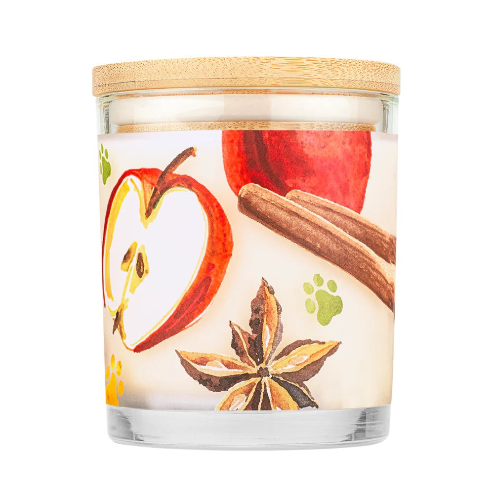 9oz candle, apple cider
