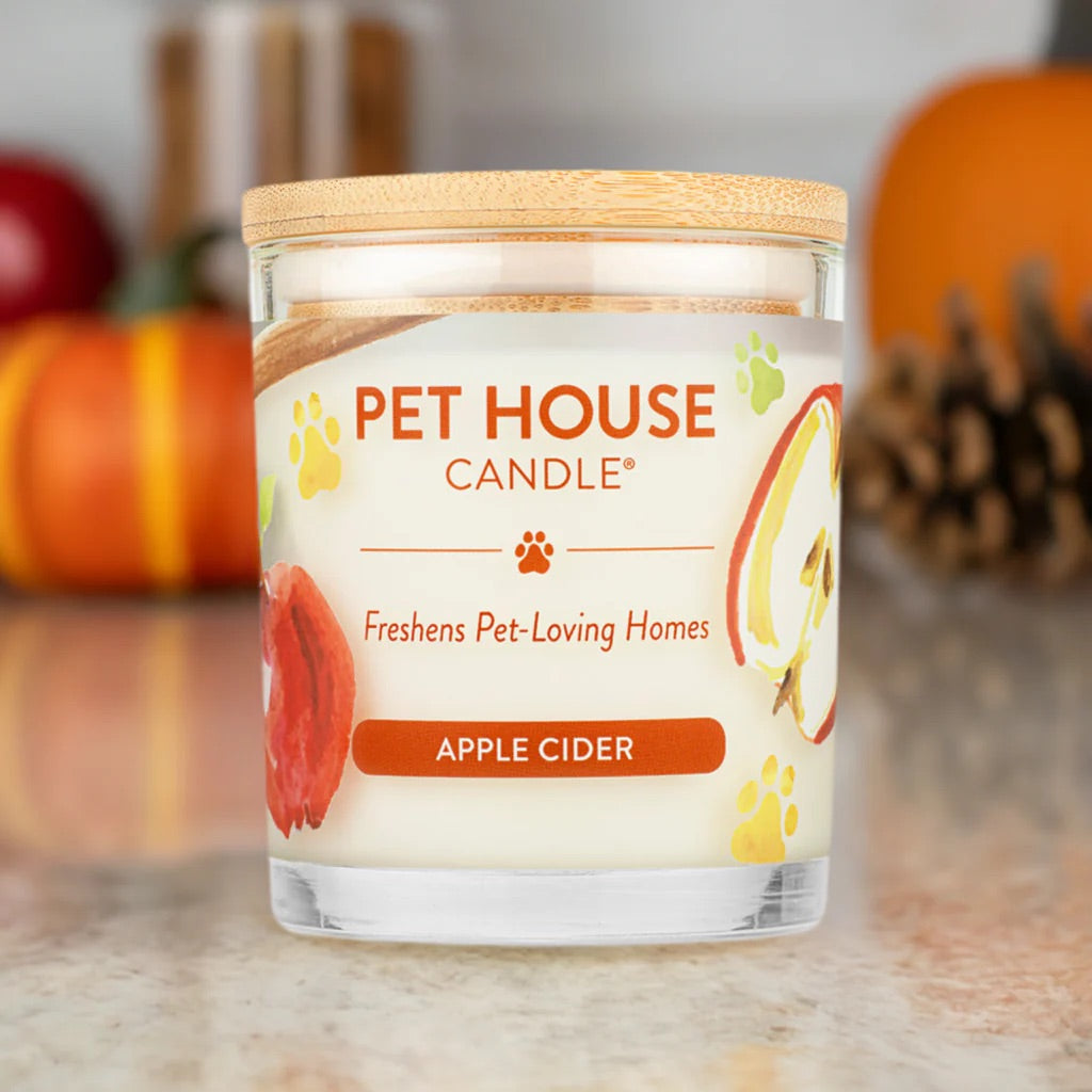 9oz candle, apple cider
