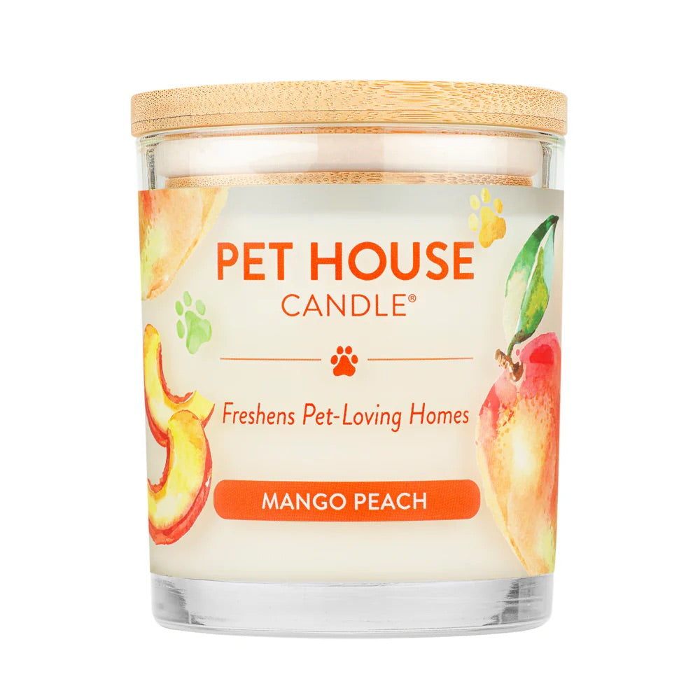 9oz candle, mango peach