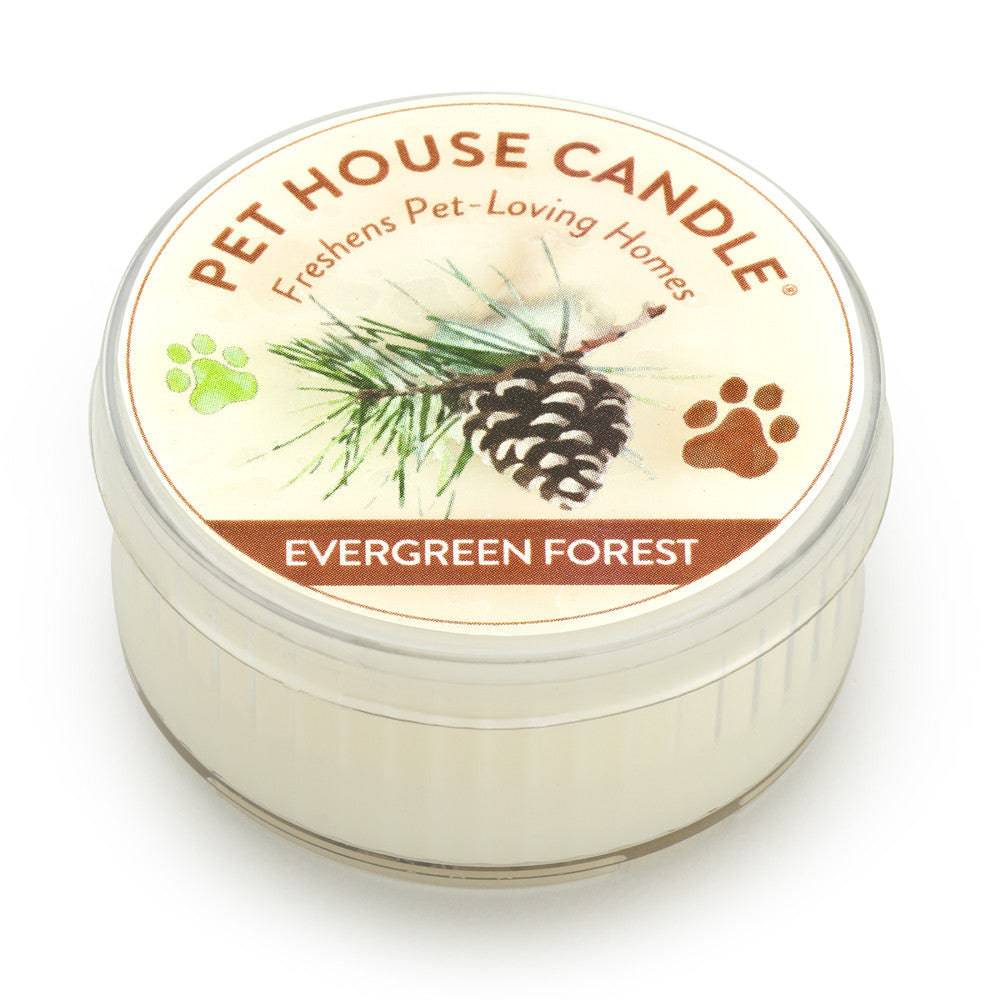 mini candle, evergreen forest