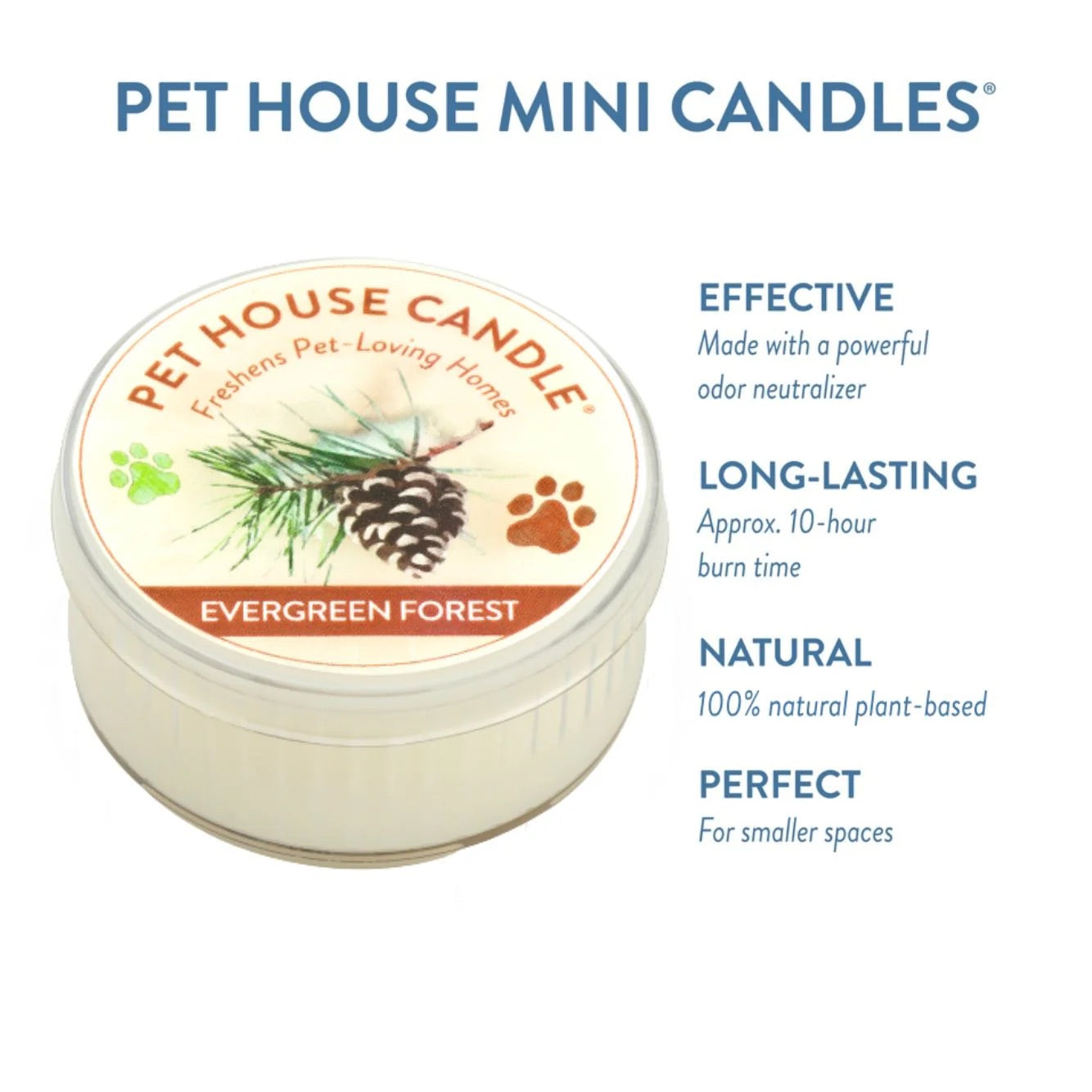 mini candle, evergreen forest