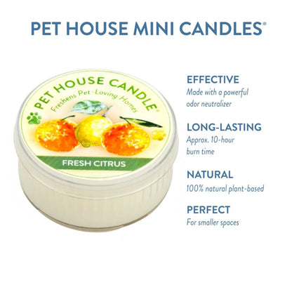 Mini Candle, Fresh Citrus