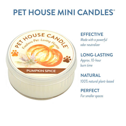 Mini Candle, Pumpkin Spice