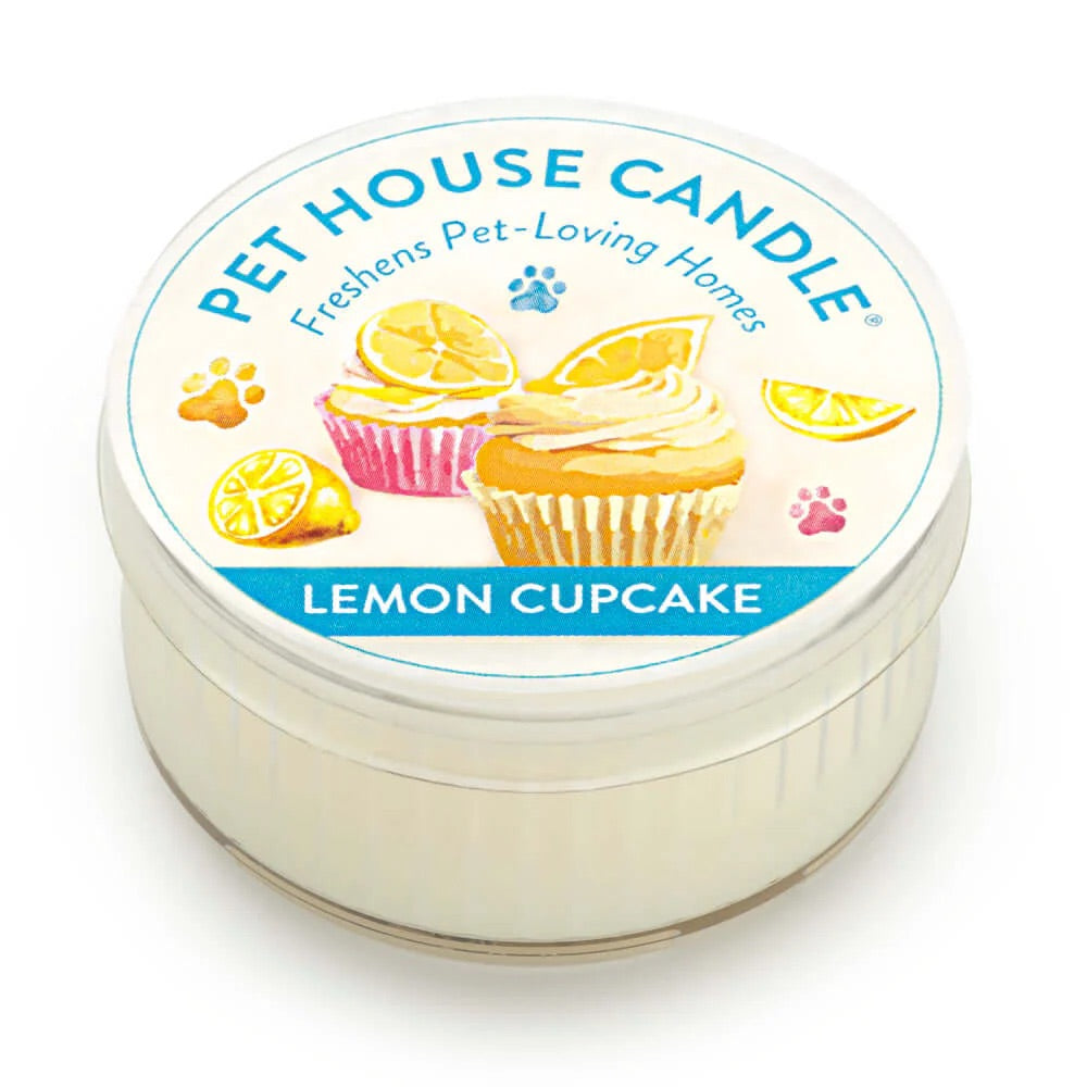 mini candle, lemon cupcake