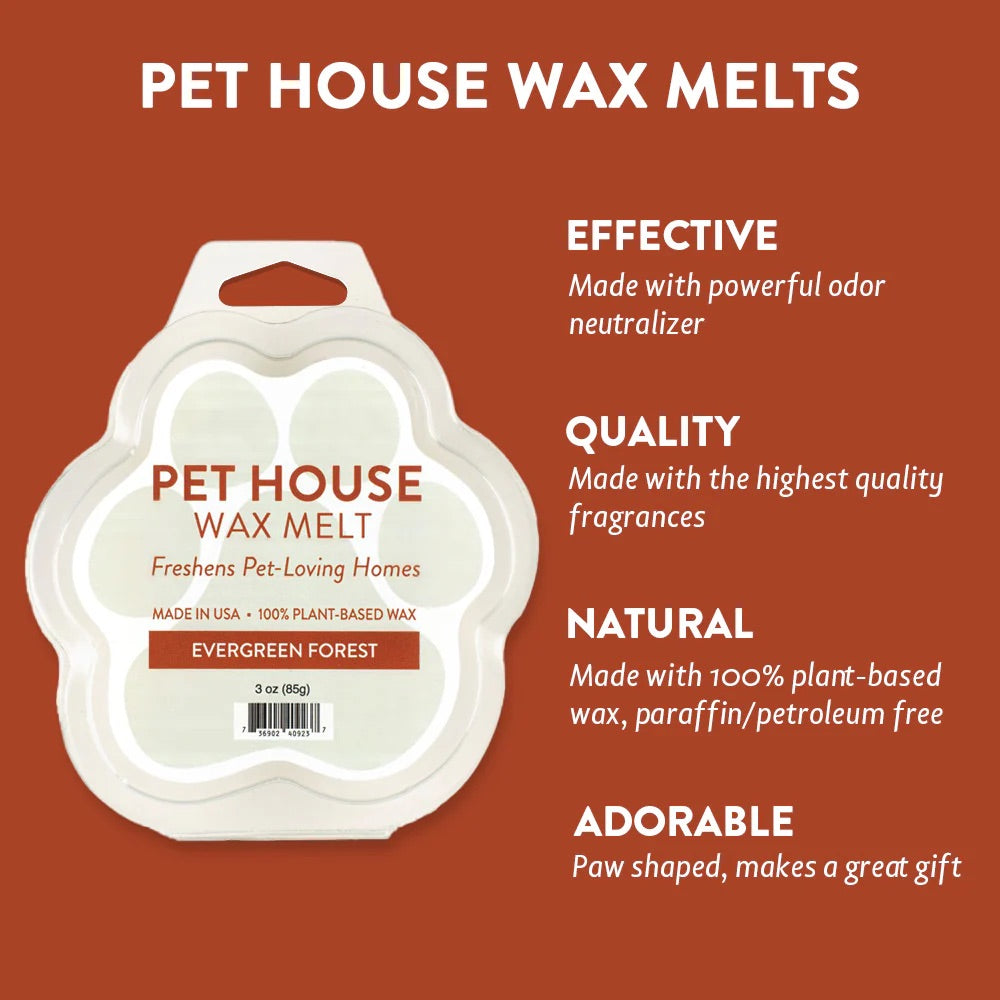 wax melts, evergreen forest