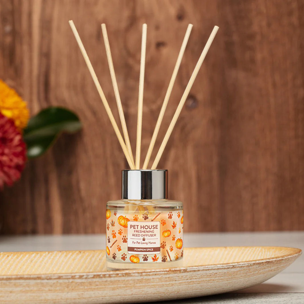reed diffusers, pumpkin spice