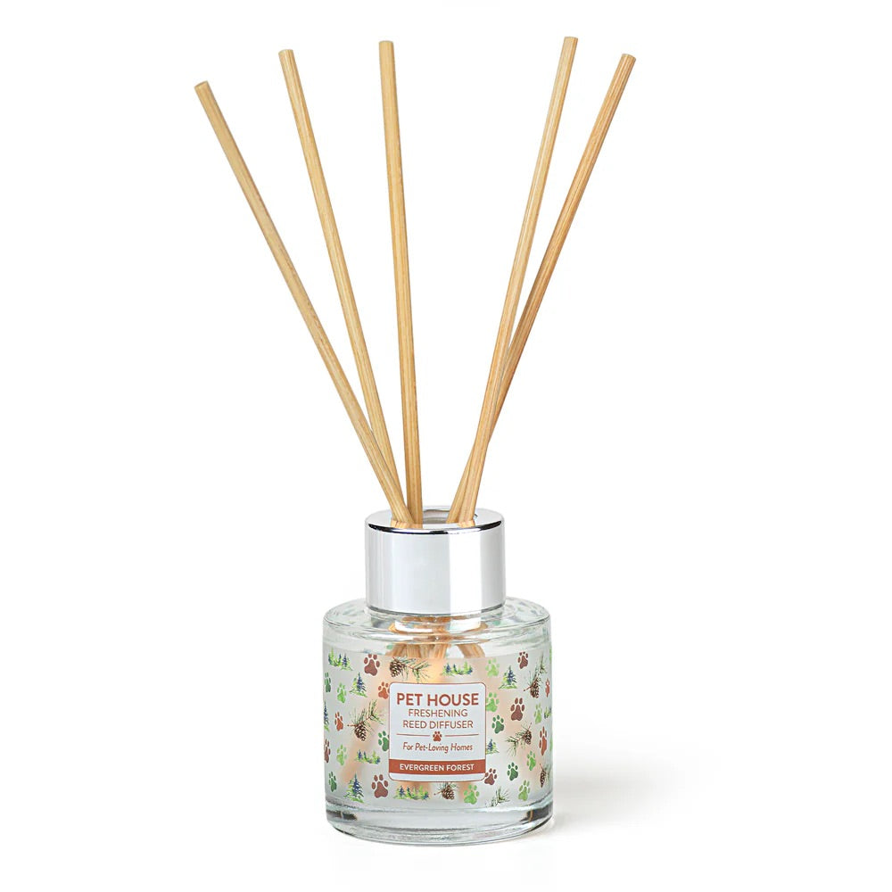 reed diffusers, evergreen forest