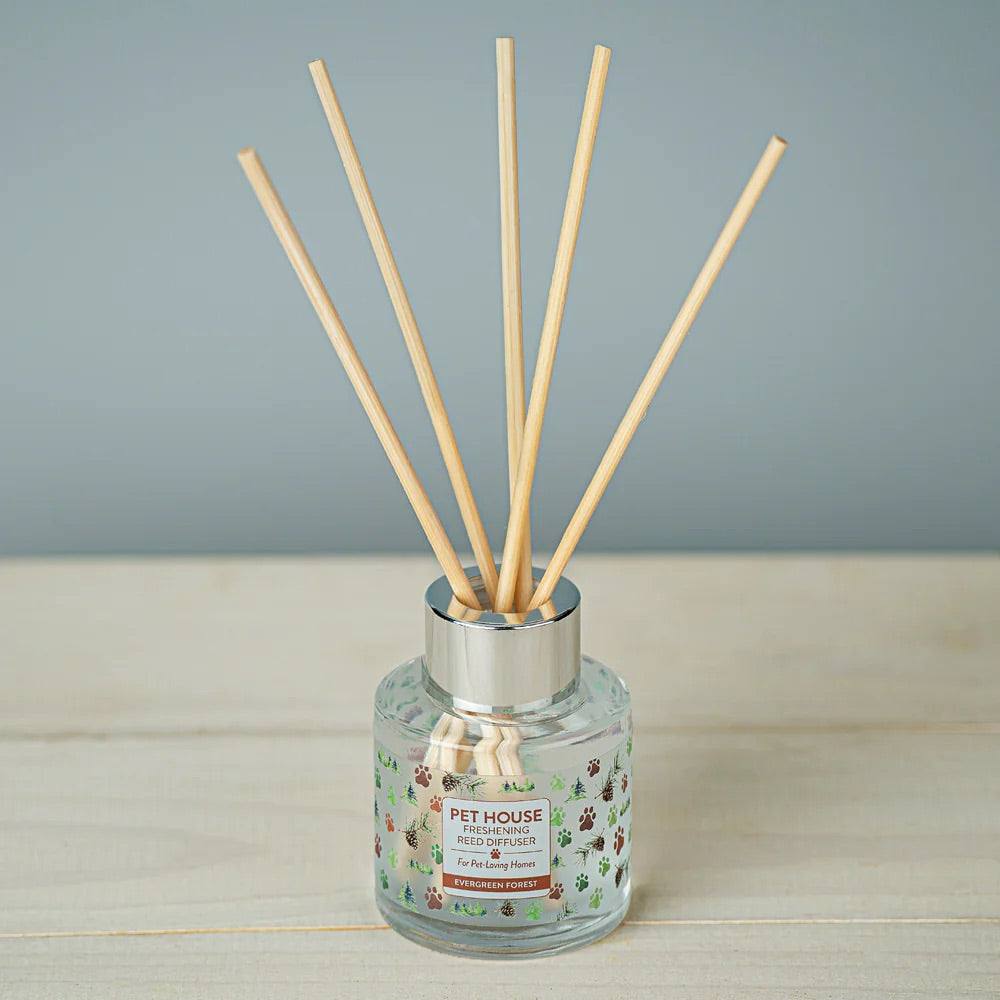 reed diffusers, evergreen forest