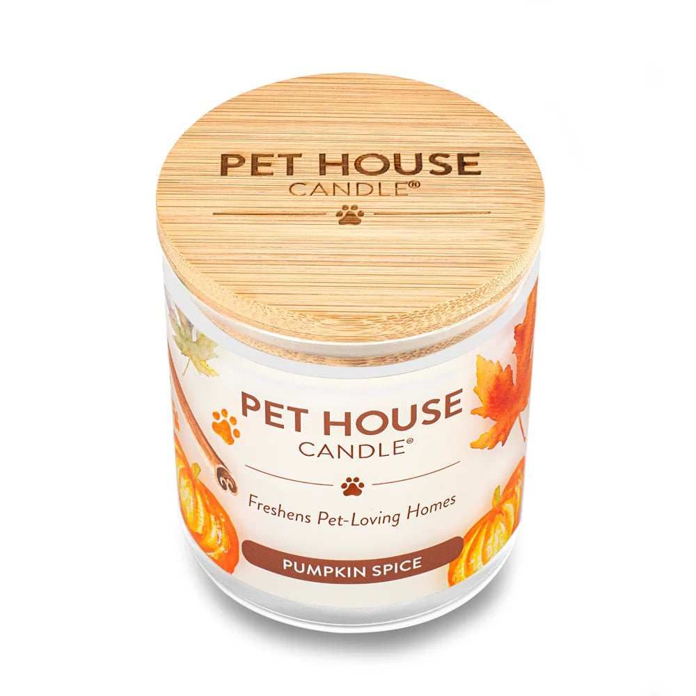 9oz candle, pumpkin spice