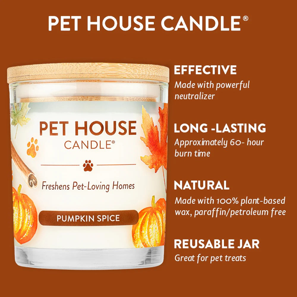 9oz candle, pumpkin spice