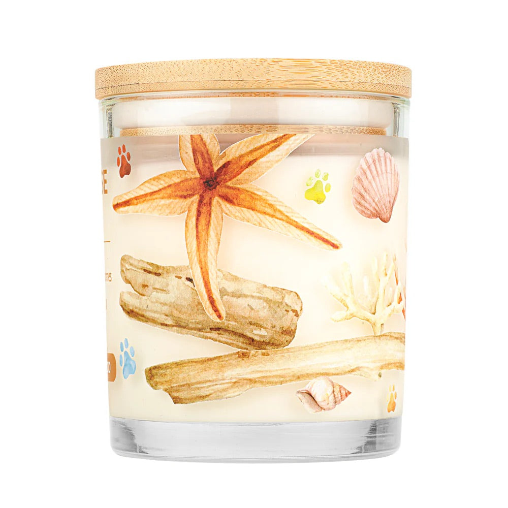 9oz candle, ocean driftwood