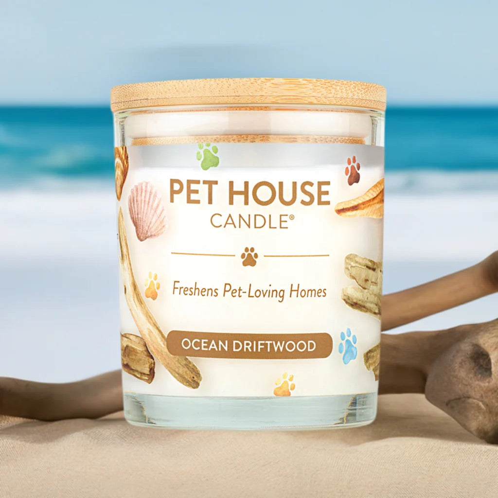 9oz candle, ocean driftwood