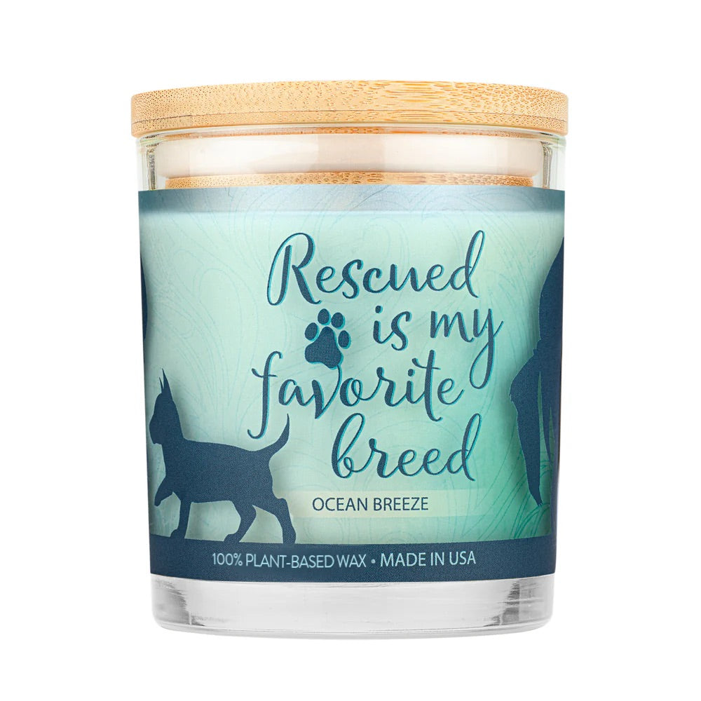 9oz candle, ocean breeze