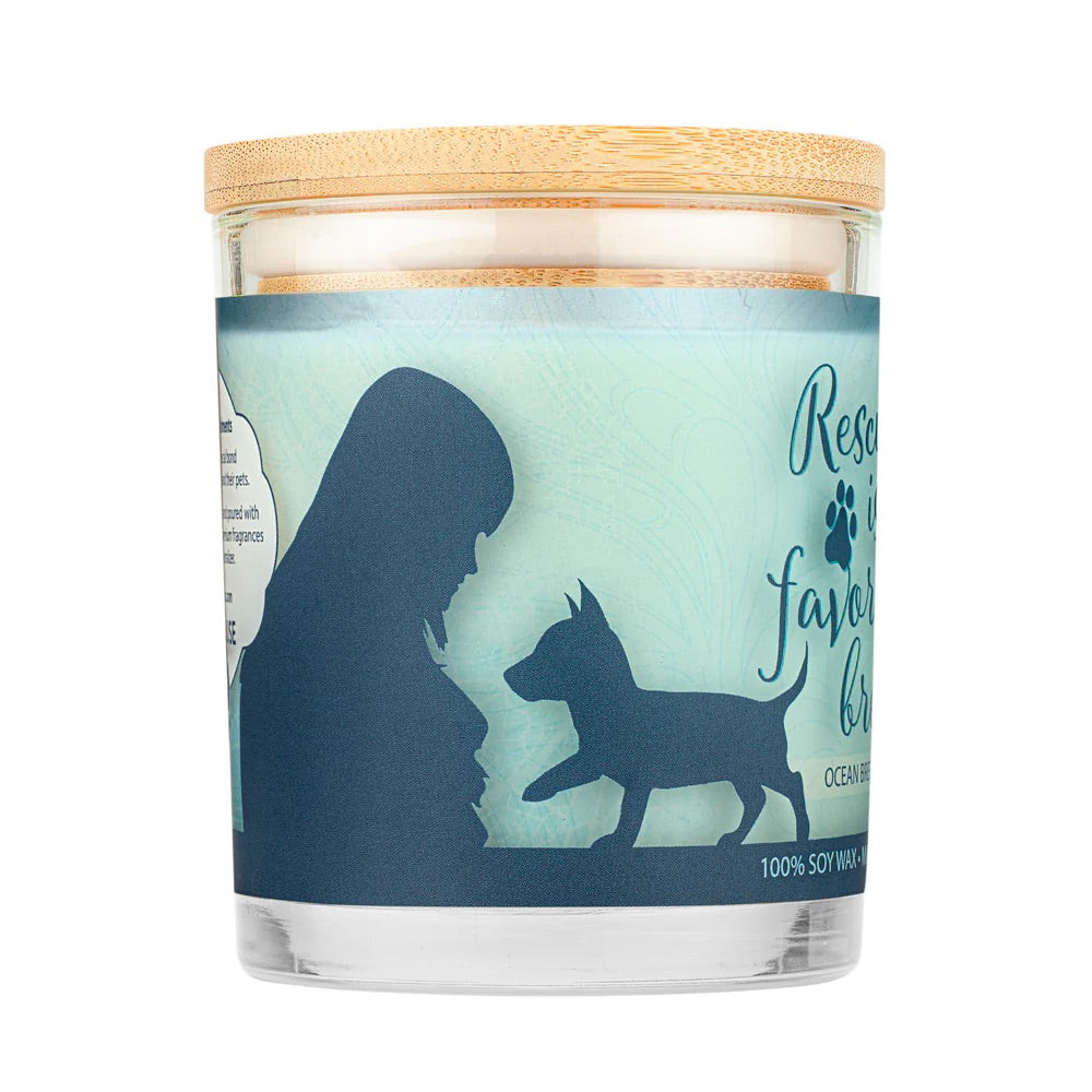 9oz candle, ocean breeze