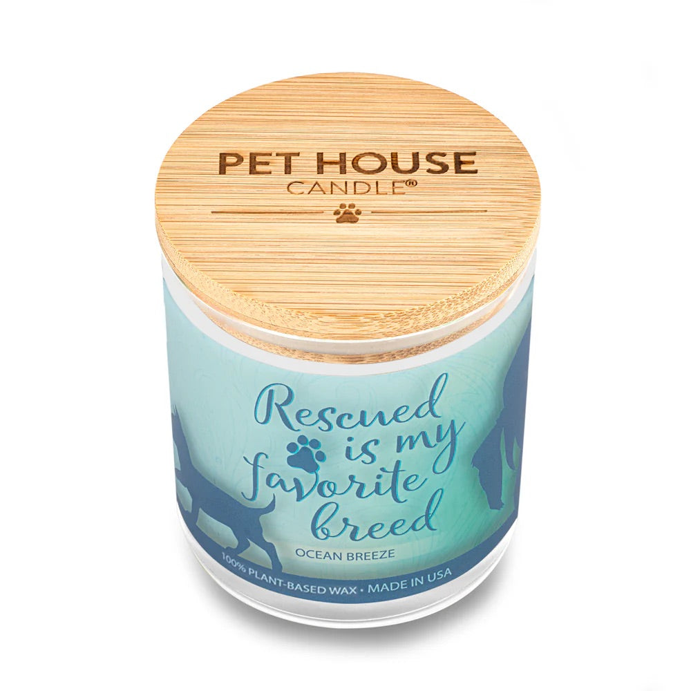 9oz candle, ocean breeze