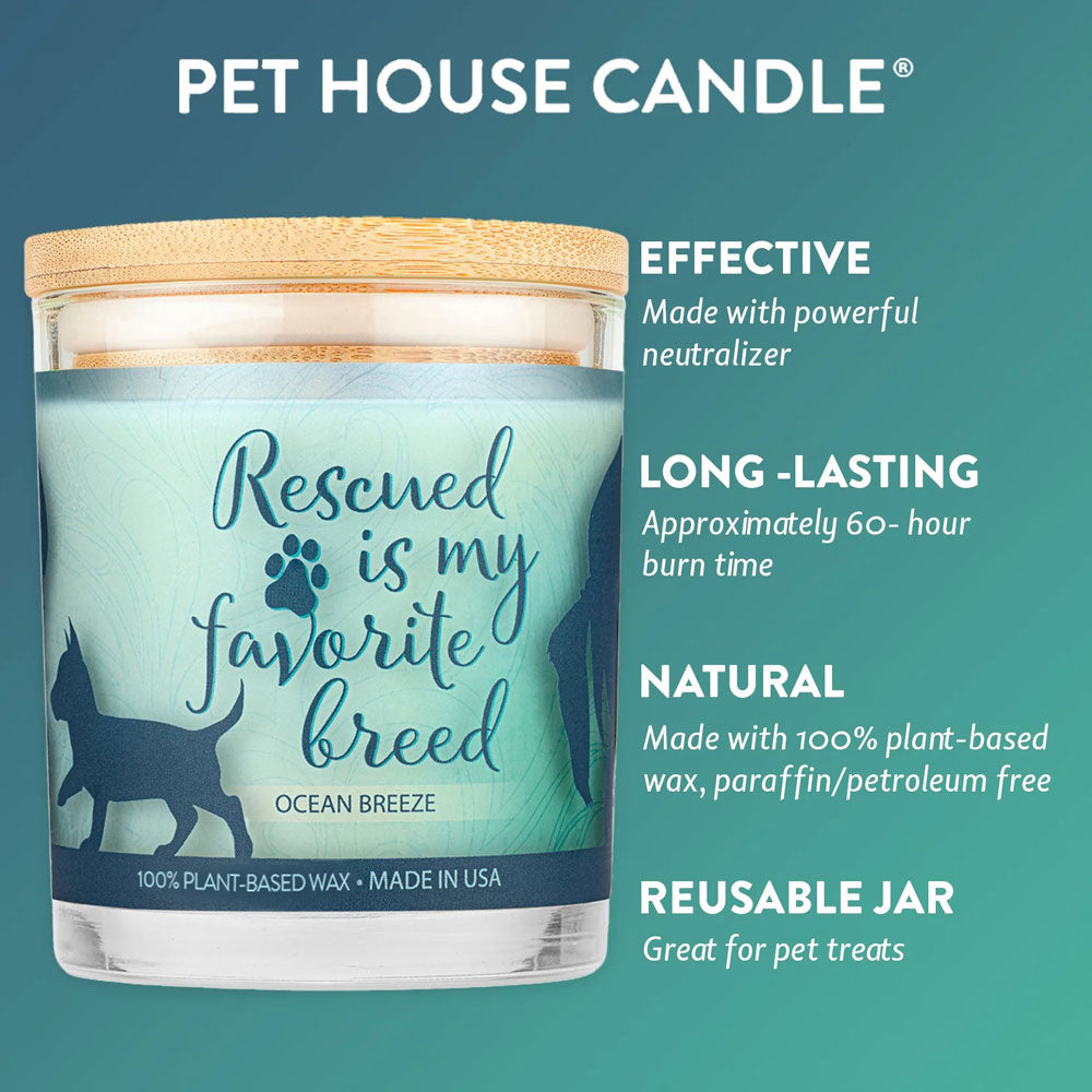 9oz candle, ocean breeze