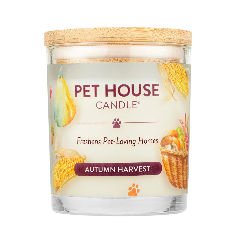 9oz candle, autumn harvest