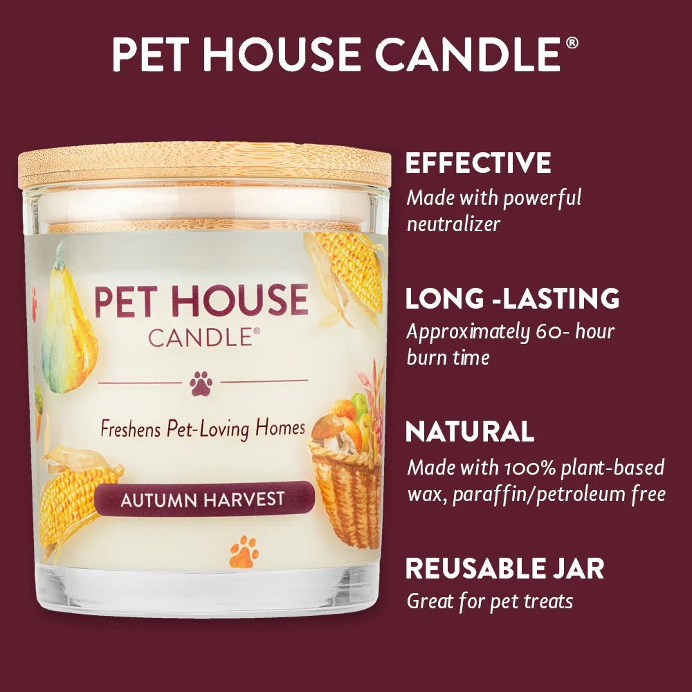 9oz candle, autumn harvest