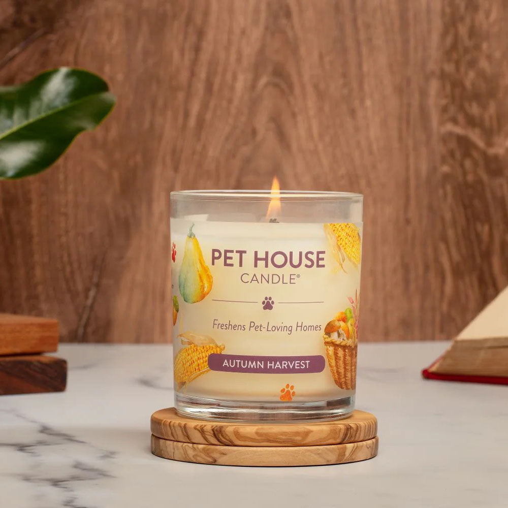 9oz candle, autumn harvest