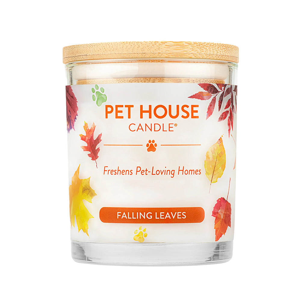 9oz candle, falling leaves