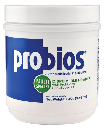 Probios Powder, 240 gram