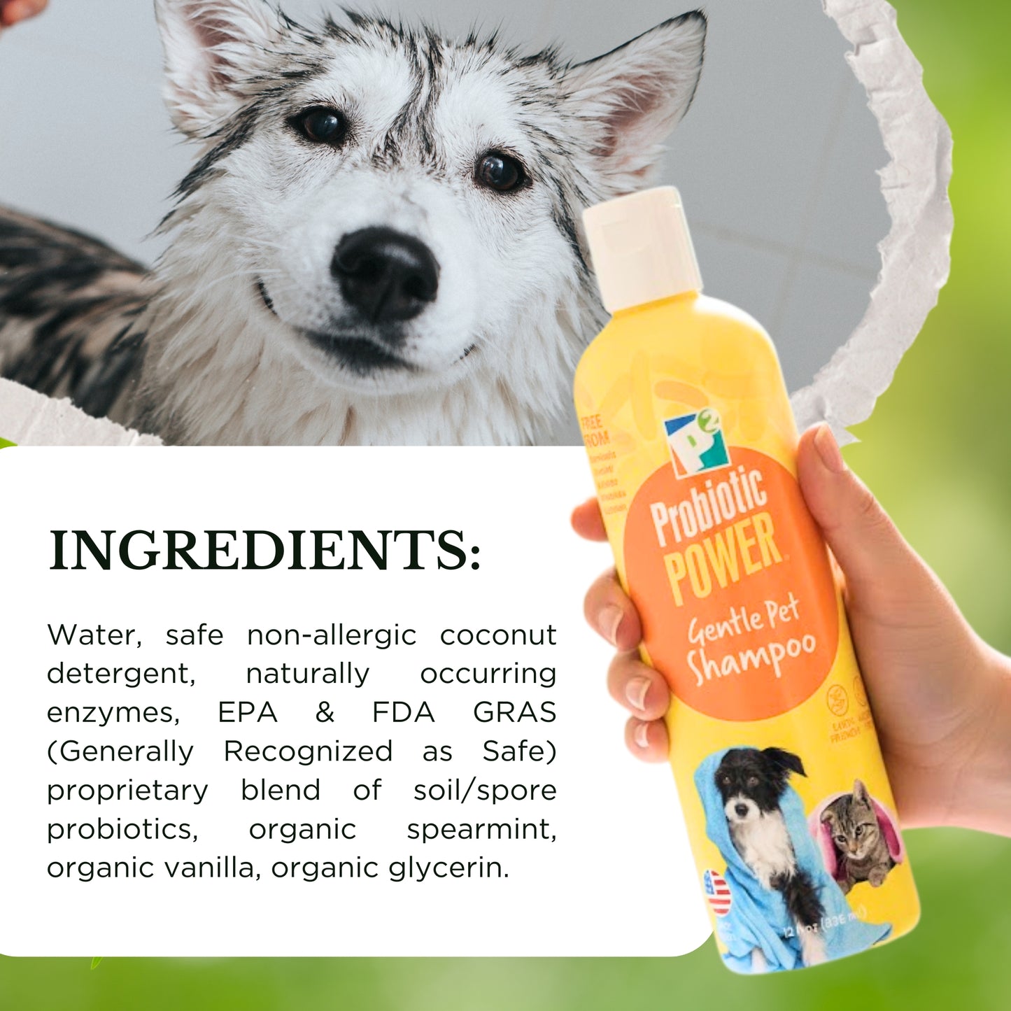 p2 probiotic power pet shampoo, 12 oz – gentle organic probiotic shampoo for dogs, cats & puppies, sensitive skin, coat care, odor control, bath & grooming - fresh mint vanilla scent
