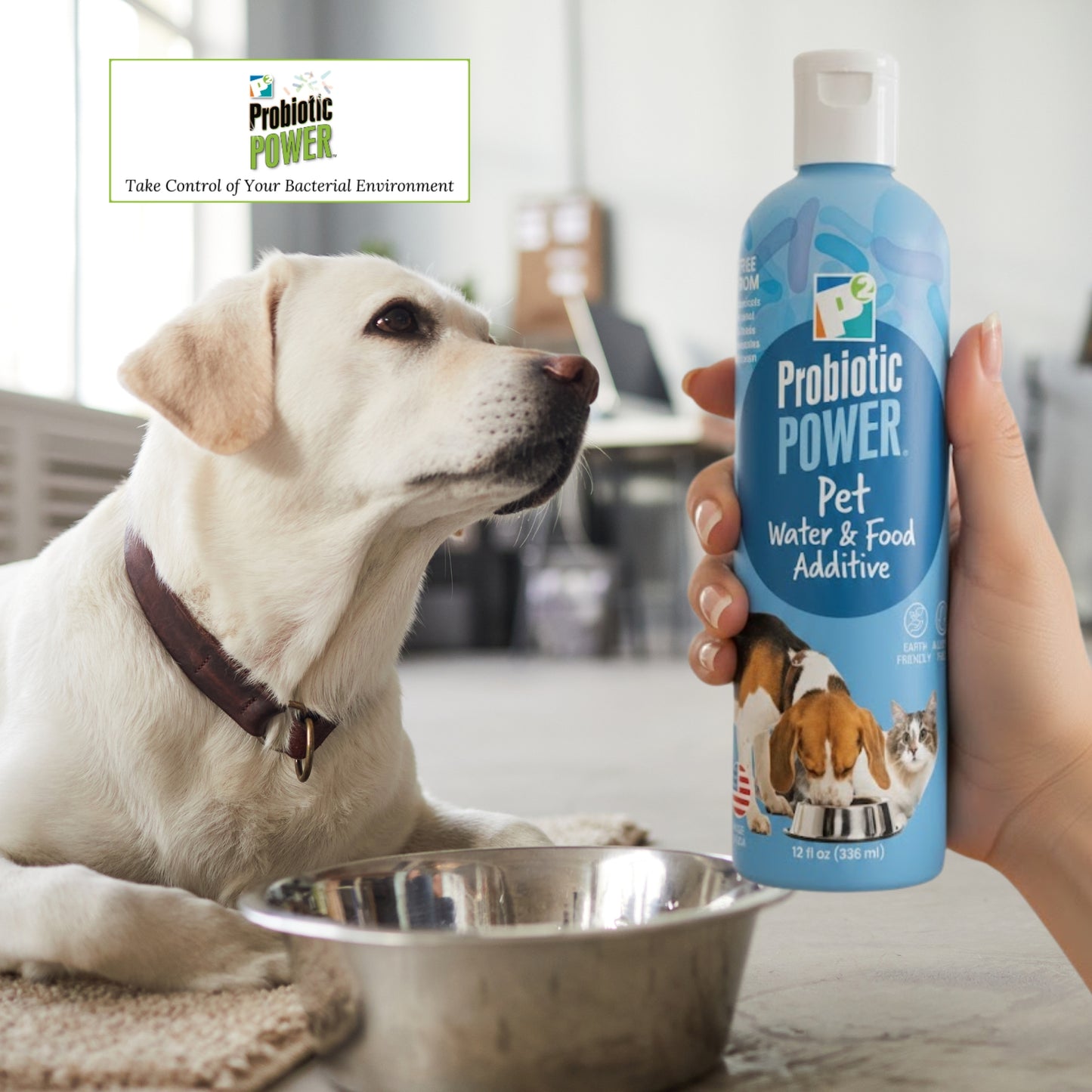 probiotic power pet water and food additive for dogs, cats, horse, reptiles & birds – supports balanced digestion, immune health, nutrient absorption, plaque reduction & energy boost – 12 oz