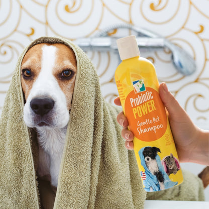 Probiotic Power Gentle Soothing Pet Shampoo 12 oz