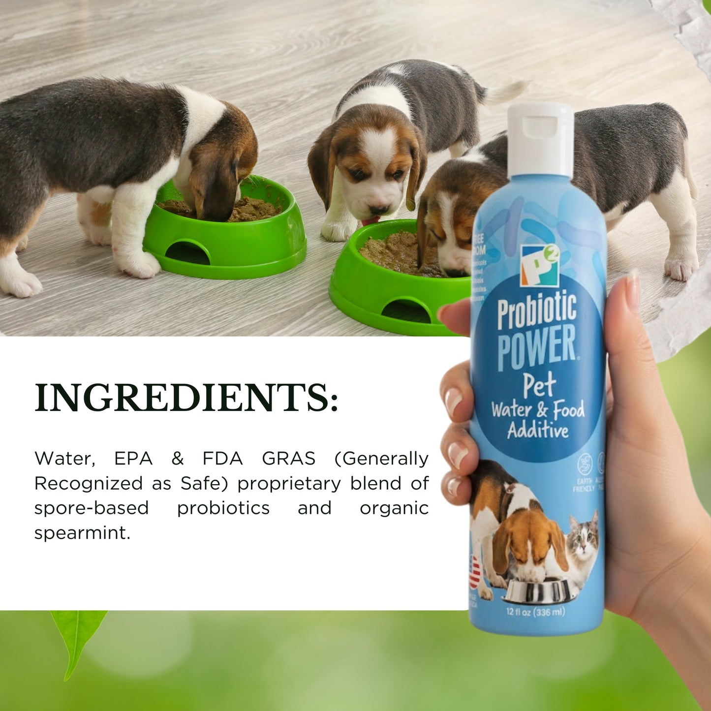 probiotic power pet water additive 12 oz