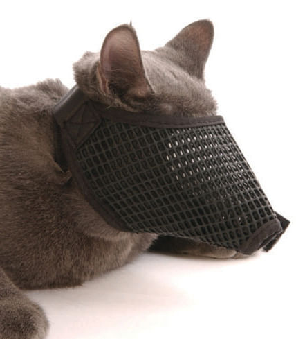 proguard mesh cat muzzle size: medium