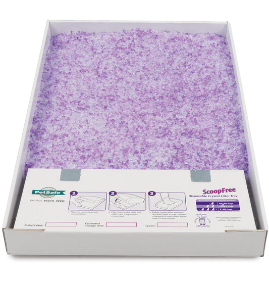 ScoopFree Replacement Tray Lavender, each
