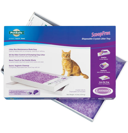ScoopFree Replacement Tray Lavender, each