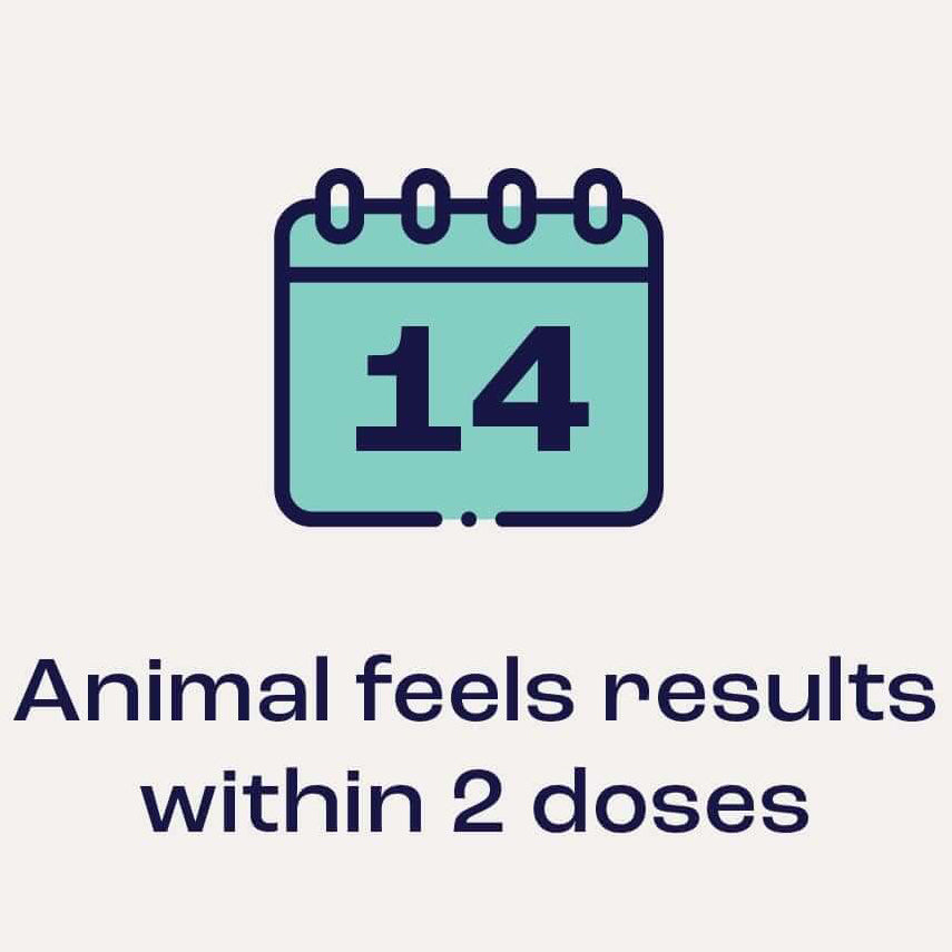 summit animal health joint & mobility sublingual for horses, 4pk