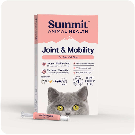 Summit Animal Health Joint and Mobility Liquid for Cats, 6ml