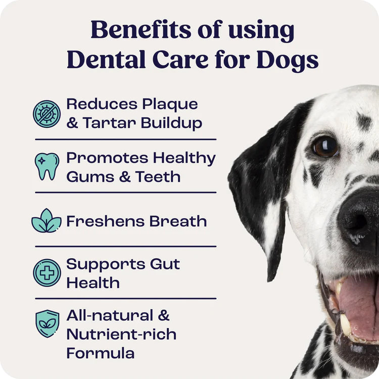 summit animal helath dental care for dogs, 1.43oz