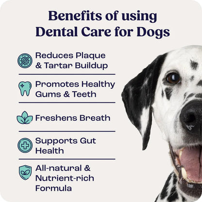 Summit Animal Helath Dental Care for Dogs, 1.43oz