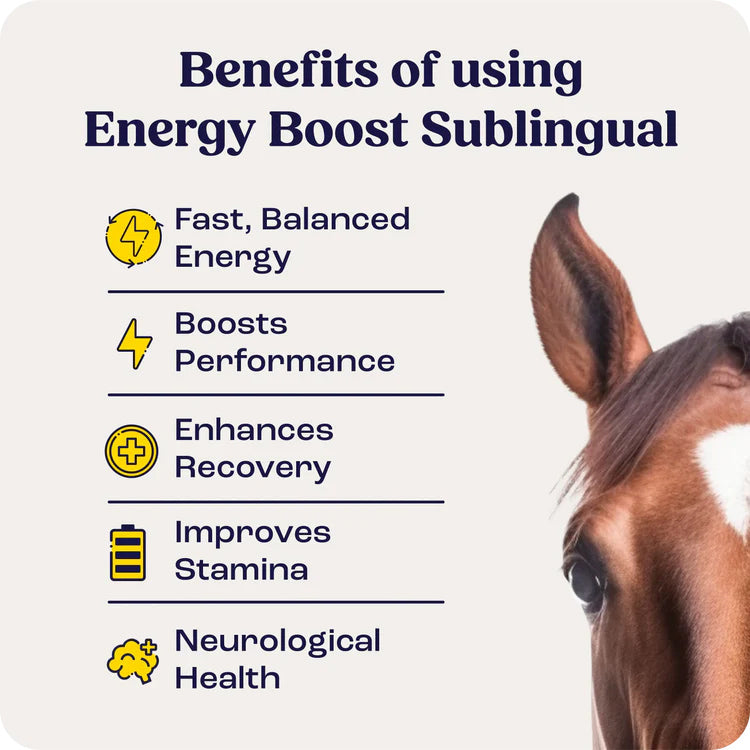 energy boost for horse 3 doses