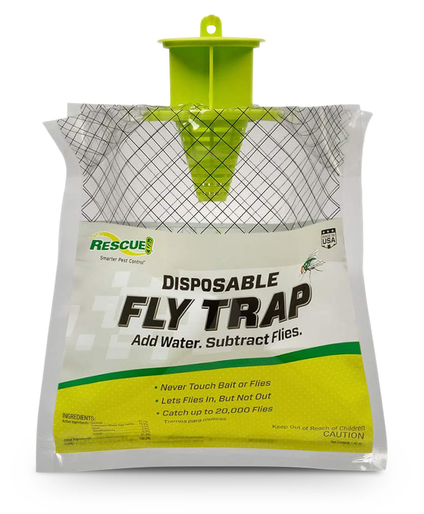 disposable fly trap