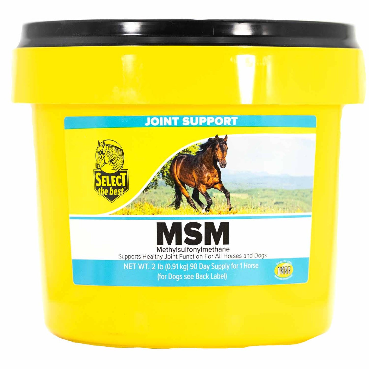 msm joint support supplement, 2 lb
