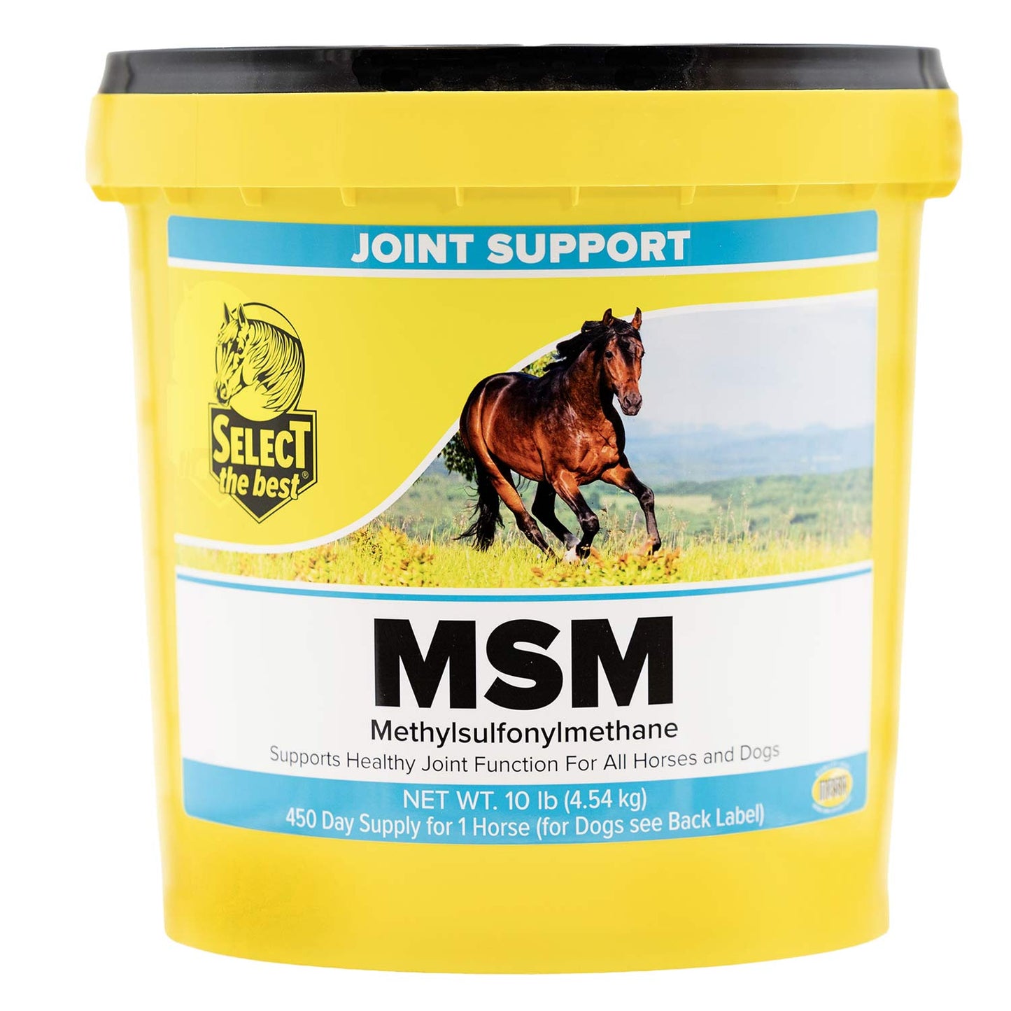 msm joint support supplement, 10 lb