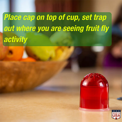 Rescue! Fruit Fly Trap 2pk