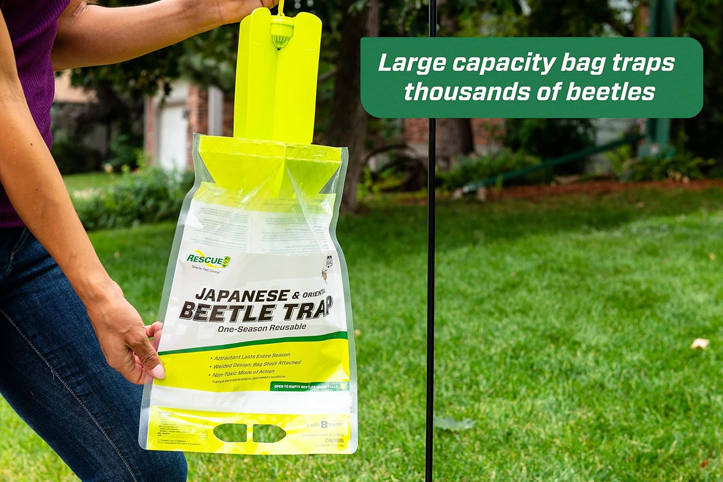 rescue! japanese beetle refill