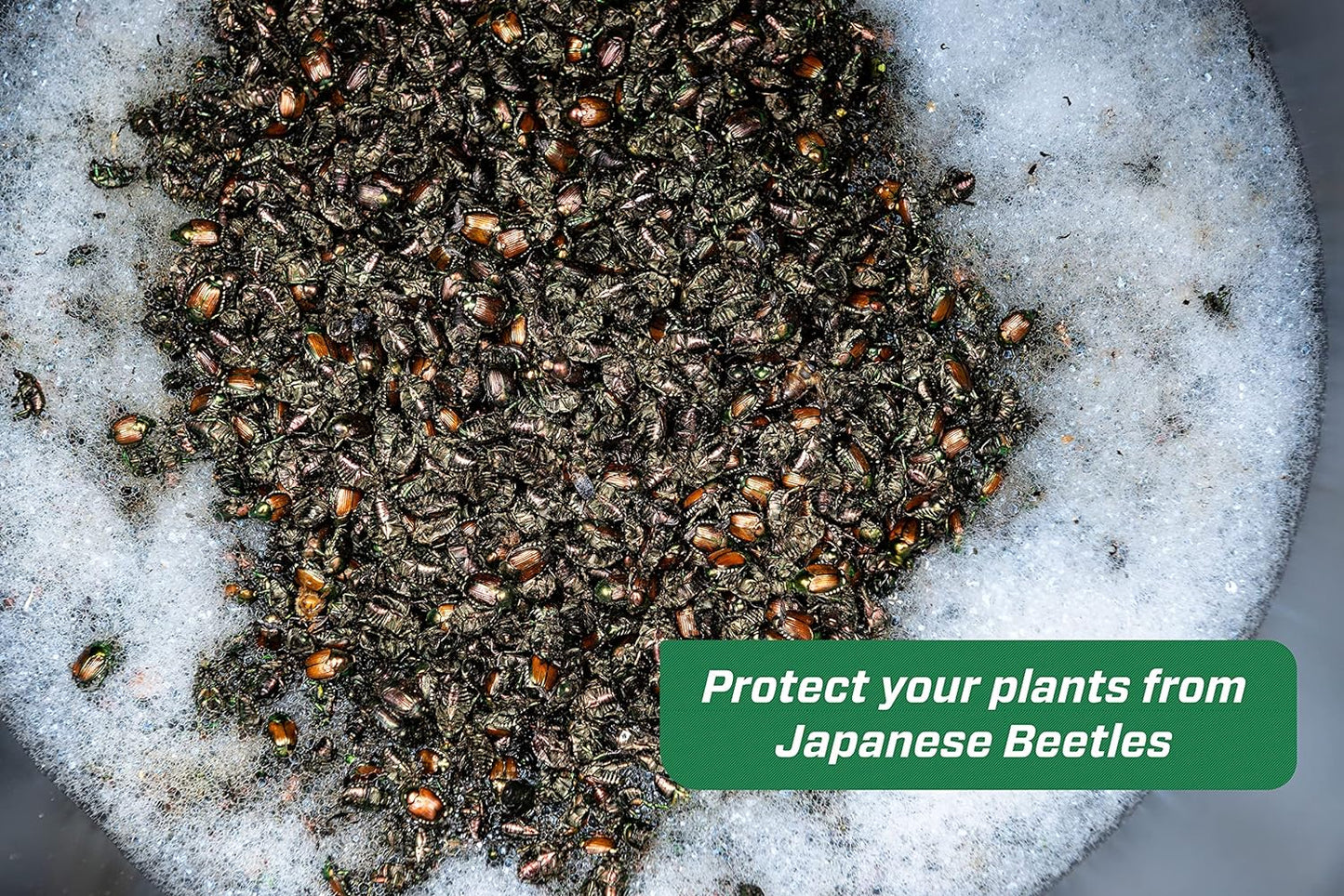 rescue! japanese beetle refill