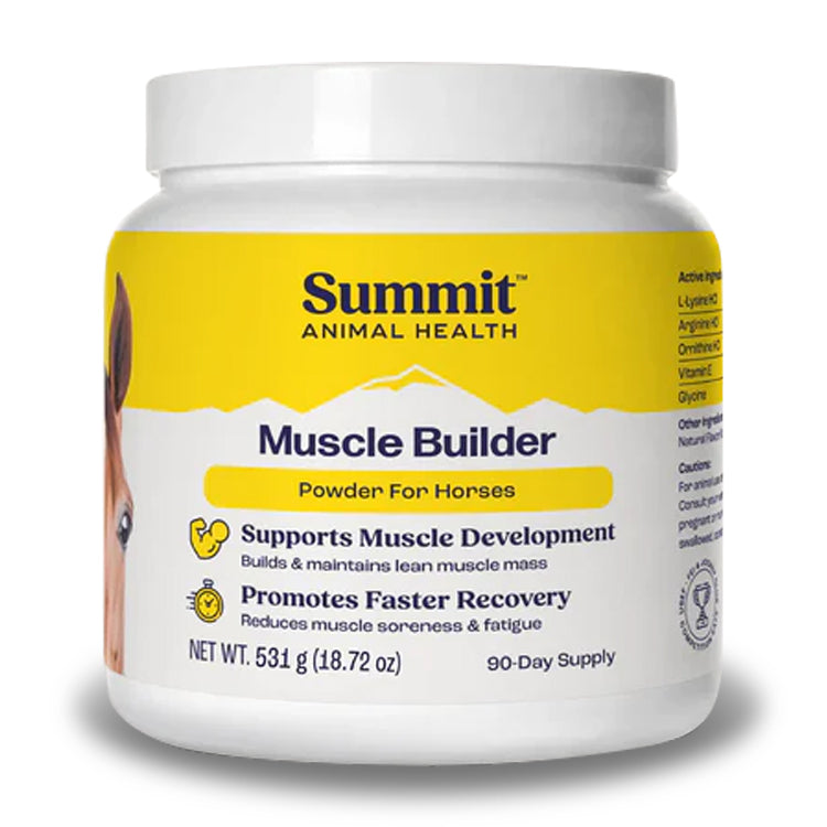 muscle builder 90 day supply