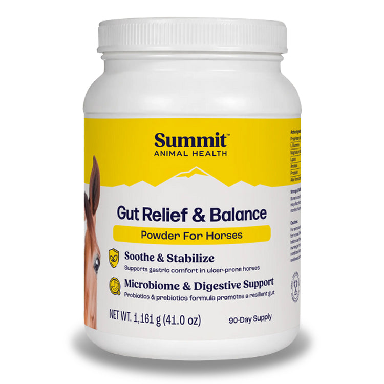 gut relief & balance 90 day supply