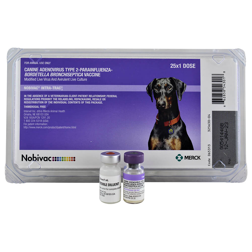nobivac intra trac 3 (25 x 1ml)