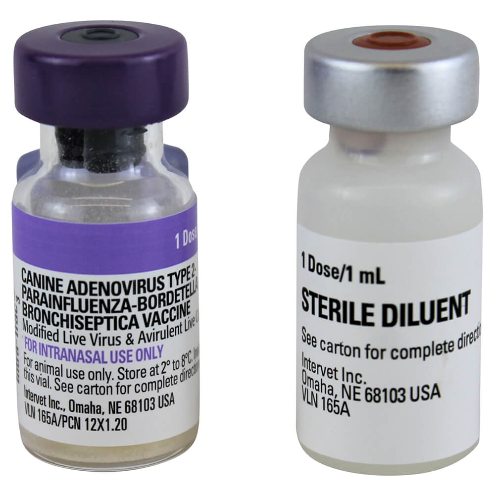 nobivac intra trac 3 (25 x 1ml)