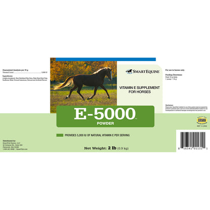 E-5000 Powder